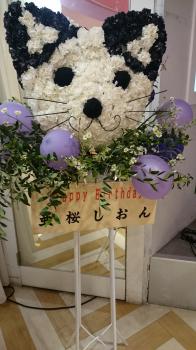 2017/03/22 26時のマスカレイド 無料定期公演ラスト＆亜桜しおん 生誕 (原宿JOL)